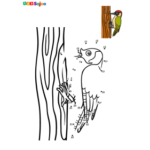 Jeu de points à relier pivert