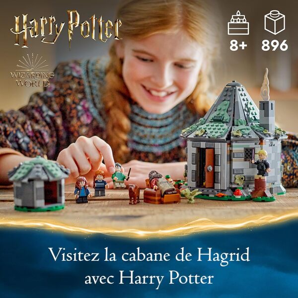 LEGO Harry Potter La Cabane de Hagrid : Une Visite Inattendue, Maison en Briques pour Enfants, 7 Personnages, Jouet de Construction, Aventures Magiques, pour Filles, Garçons et Fans Dès 8 Ans 76428
