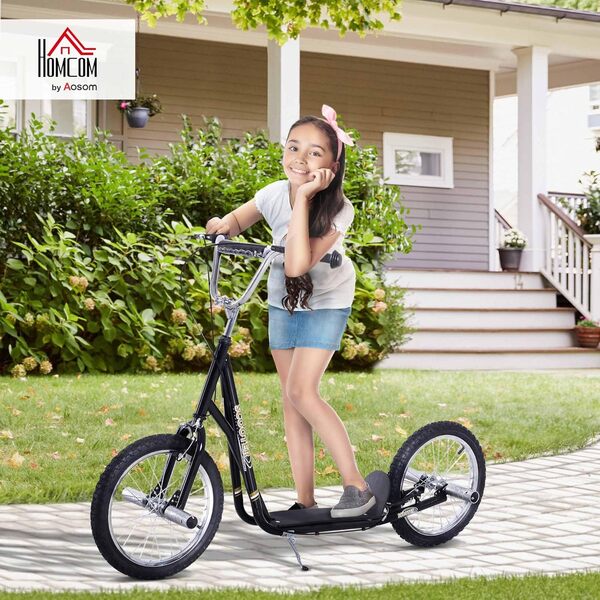 HOMCOM Trottinette patinette Grandes Roues pneumatiques Ø 41 cm avec pegs