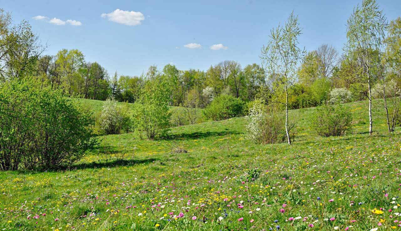 Comment cr&eacute;er son propre imagier du printemps